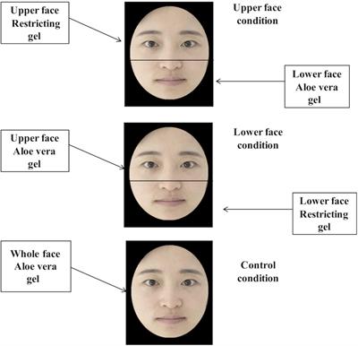 A False Trail to Follow: Differential Effects of the Facial Feedback Signals From the Upper and Lower Face on the Recognition of Micro-Expressions